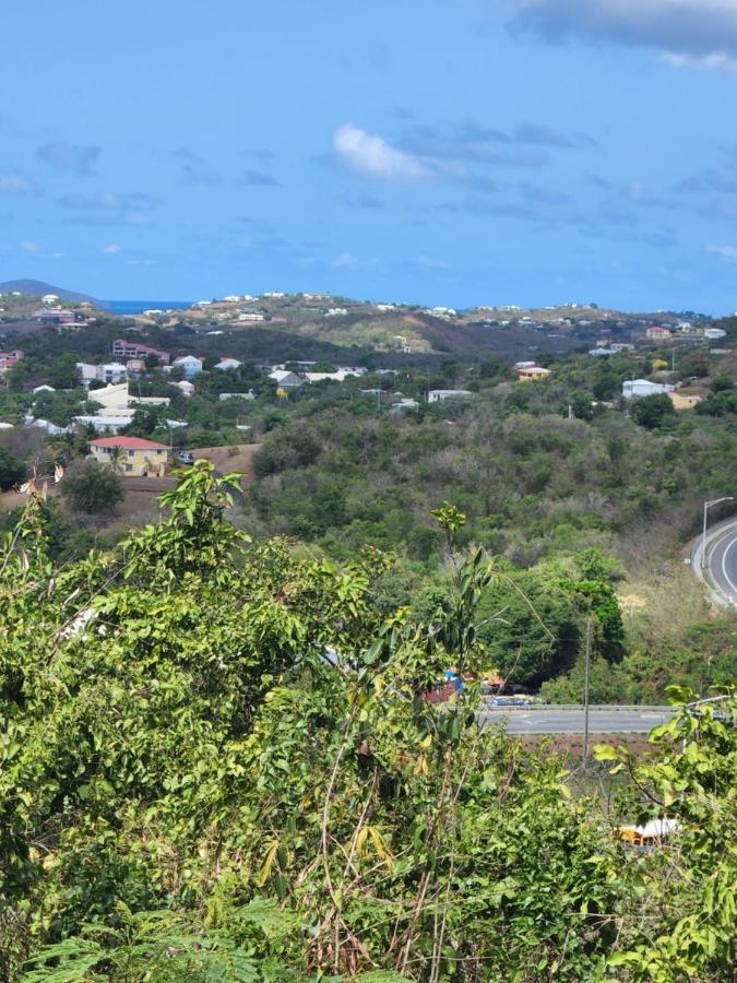 Villa The View à Christiansted Extérieur photo